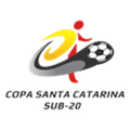 Copa Santa Catarina