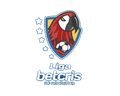 Liga Nacional
