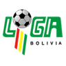 Primera División
