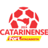 Catarinense - 1