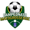 Matogrossense