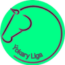 Ýokary Liga