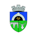 Anenii Noi