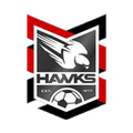 Holland Park Hawks