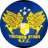 Treowen Stars