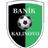 Baník Kalinovo