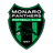 Monaro Panthers