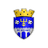 Edineţ