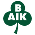 Bergnäsets