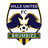 Hills Brumbies