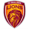 Bulleen Lions