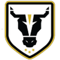 Bulls Academy