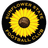 Sunflower State