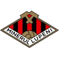 Minerul Lupeni