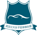 Wuhan Jiangda W