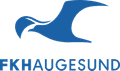 Haugesund W