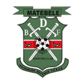 BDF XI