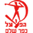Hapoel Kfar Shalem