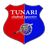 Tunari