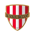 Sokol Brozany
