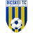 Bicskei