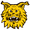 Ilves II