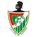 Guarnizo