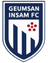 Geumsan Insam