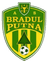 Bradul Putna
